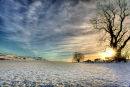 Snowy Sunset